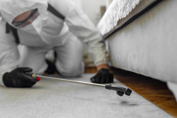 Professional Bed Bug Control technician working in Hardeman County County, TN